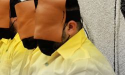 حصيلة جديدة للملقى القبض عليهم من "القربانيين" في 4 محافظات